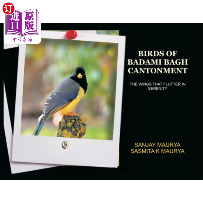 海外直订Birds of Badami Bagh Cantonment 巴达米巴格营地的鸟类