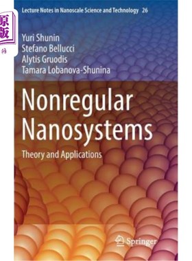 海外直订Nonregular Nanosystems: Theory and Applications 非规则纳米系统：理论与应用