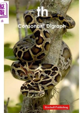 现货 Digraphs Consonant Digraph th 英文原版 有向图 辅音有向图th Birchall Publishing【中商原版】【中商原版】