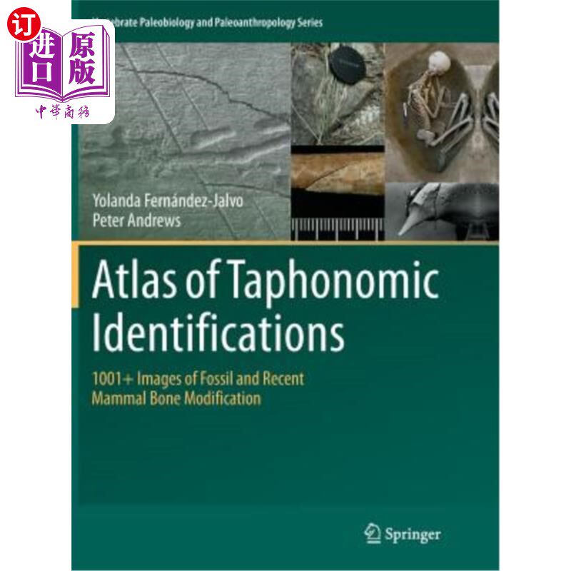 海外直订Atlas of Taphonomic Identifications: 1001+ Images of Fossil and Recent Mammal Bo 埋藏学鉴定图集:10