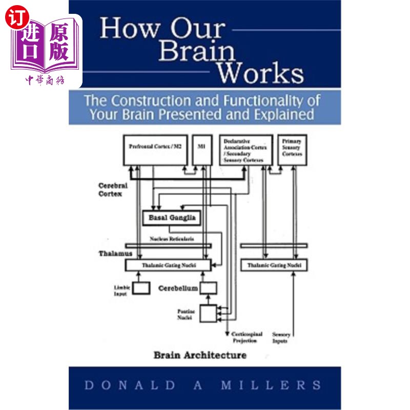 海外直订How Our Brain Works: The Construction and Functionality of Your Brain Presented