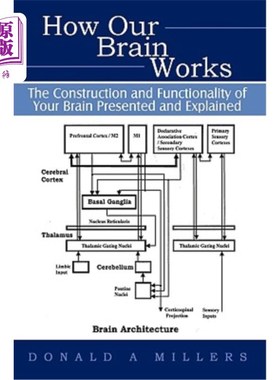 海外直订How Our Brain Works: The Construction and Functionality of Your Brain Presented