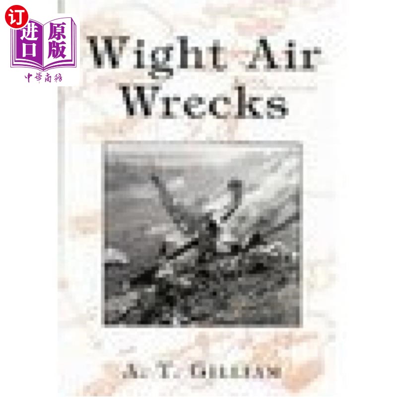 海外直订Wight Air Wrecks 轻型飞机残骸