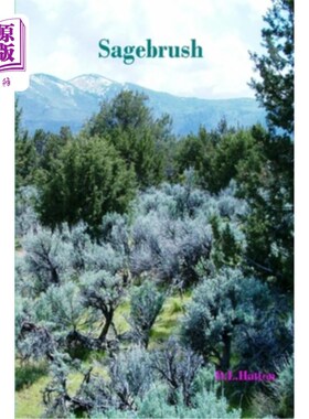 海外直订Sagebrush 山艾