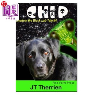 the Black 奇普：黑色实验室 影子故事 Shadow Tale 海外直订Chip Lab