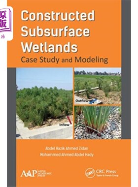 海外直订Constructed Subsurface Wetlands 人工地下湿地