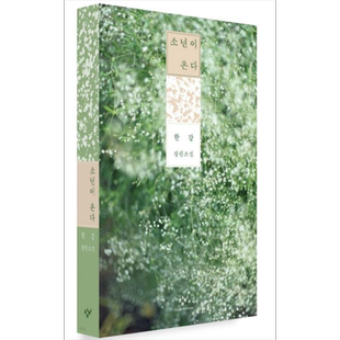 预售 少年来了 韩国文坛畅销女作家韩江代表作 诺贝尔文学奖 韩文原版 韩版 韩语版【中商原版】