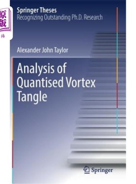 海外直订Analysis of Quantised Vortex Tangle 量化涡缠结分析