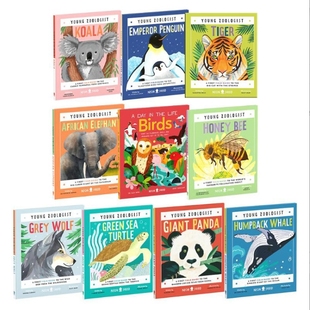 Young Zoologist 小动物家系列科普绘本10册合集 考拉Koala 灰狼Wolf 帝企鹅 飞鸟 大象 海龟 蜜蜂 熊猫座头鲸英文原版【中商?