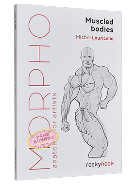 【Morpho人体绘画系列】Morpho: Muscled Bodies : Anatomy for Artists 进口艺术 肌肉发达的身体 Rocky Nook出版【中商原版