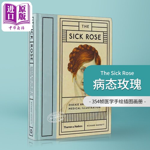 5月上旬到货