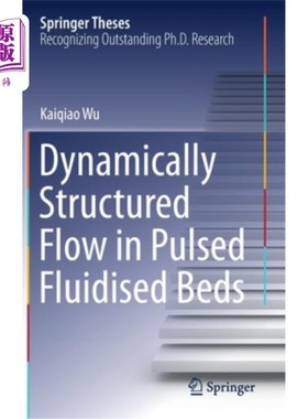 海外直订Dynamically Structured Flow in Pulsed Fluidised Beds 脉冲流化床中的动态结构流动