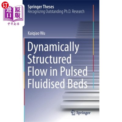 海外直订Dynamically Structured Flow in Pulsed Fluidised Beds 脉冲流化床中的动态结构流动