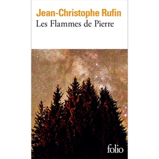 预售 【法文版】石头火焰 Les flammes de pierre 法文原版  Jean Christophe Rufin 国际流行小说 爱情小说【中商原版】
