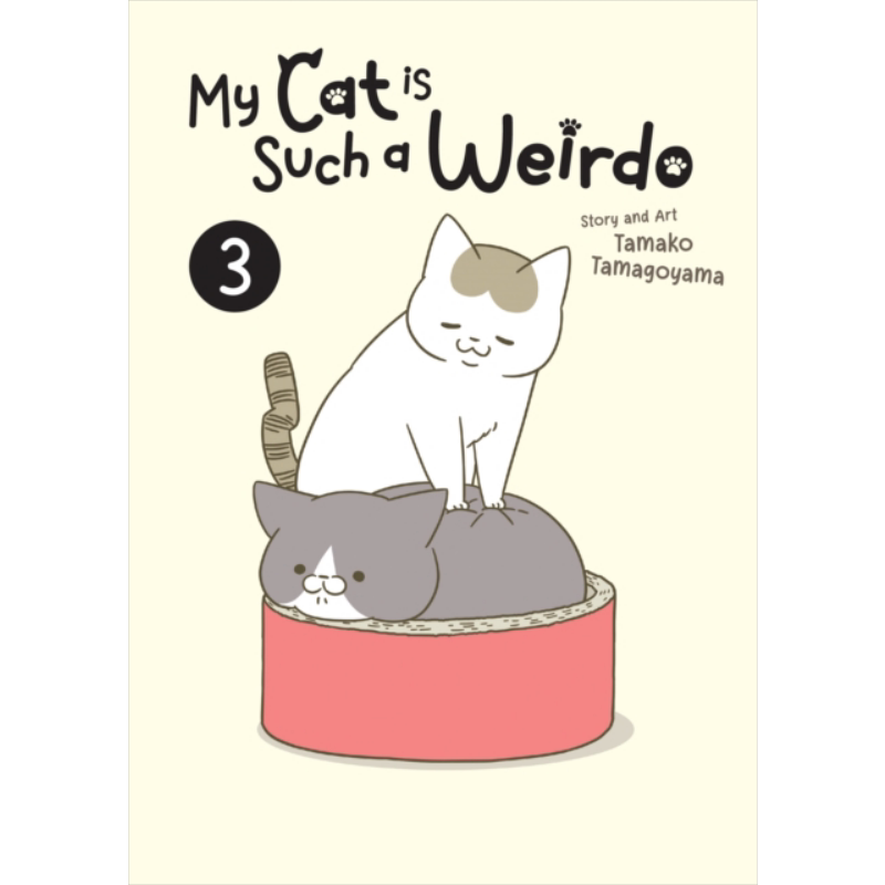 我家的猫又在做奇怪的事了3