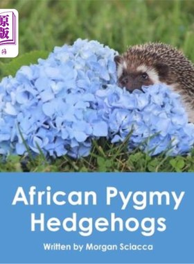 海外直订African Pygmy Hedgehogs 非洲侏儒刺猬