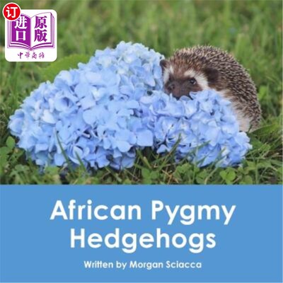海外直订African Pygmy Hedgehogs 非洲侏儒刺猬