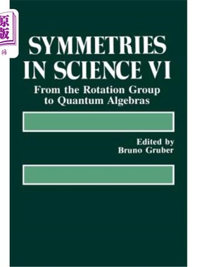 海外直订Symmetries in Science VI: From the Rotation Group to Quantum Algebras 科学六中的对称性:从旋转群到量子代数