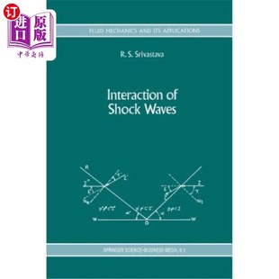 冲击波相互作用 海外直订Interaction Shock Waves