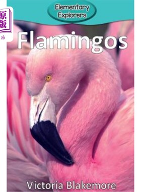 海外直订Flamingos 火烈鸟