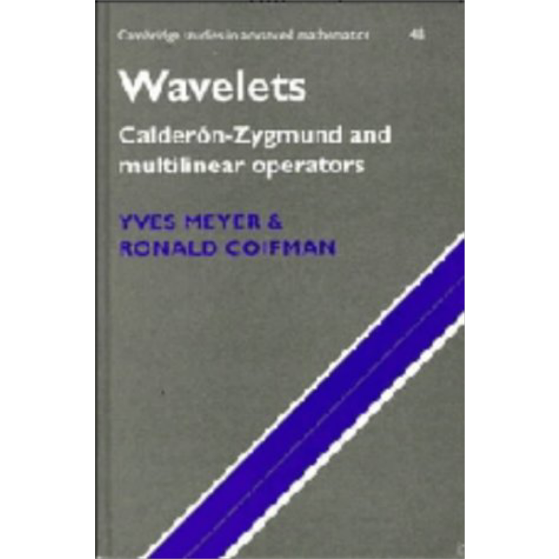 考尔德伦 赞格蒙型分解和多线性算子 英文原版 Wavelets Calderon Zygmund and Multilinear Operators Yves Meyer【中商原版