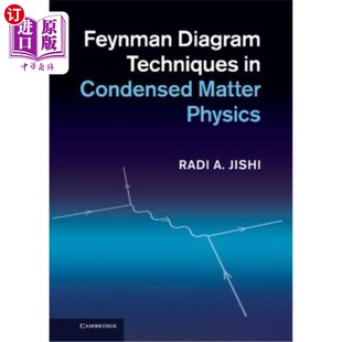 海外直订Feynman Diagram Techniques in Condensed Matter Physics 凝聚态物理中的费曼图技术