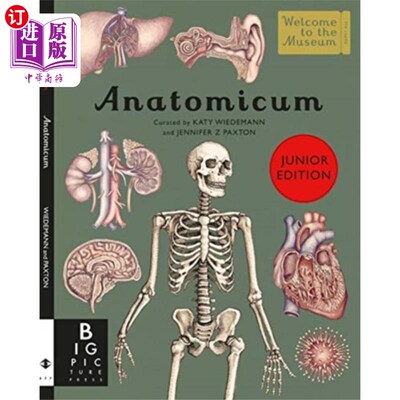 海外直订Anatomicum Junior 解剖学初级
