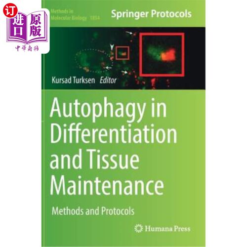 海外直订Autophagy in Differentiation and Tissue Maintenance: Methods and Protocols 分化和组织维持中的自噬：方法和方