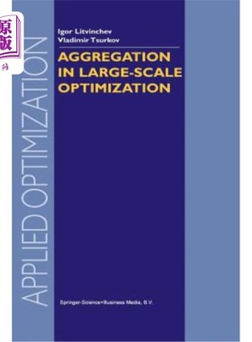 海外直订Aggregation in Large-Scale Optimization 大规模优化中的聚集