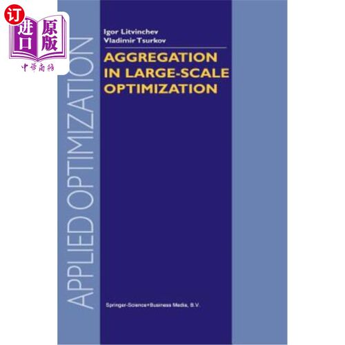 海外直订Aggregation in Large-Scale Optimization 大规模优化中的聚集