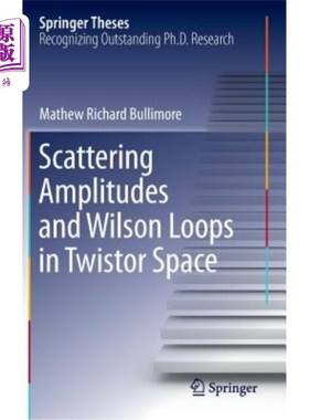 海外直订Scattering Amplitudes and Wilson Loops in Twistor Space Twistor空间中的散射振幅和Wilson环