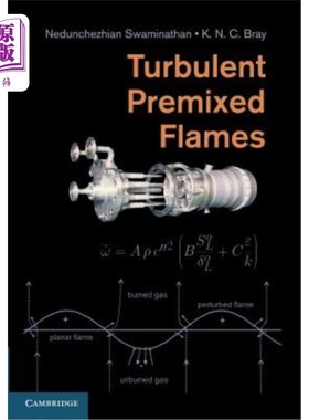海外直订Turbulent Premixed Flames 湍流预混合火焰
