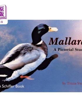 海外直订Mallards: A Pictorial Study 绿头鸭:一项绘画研究