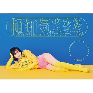 现货 顿知气沙纪奈年历书 2024.04-2025.03 日文原版 頓知気さきな CALENDAR BOOK【中商原版】