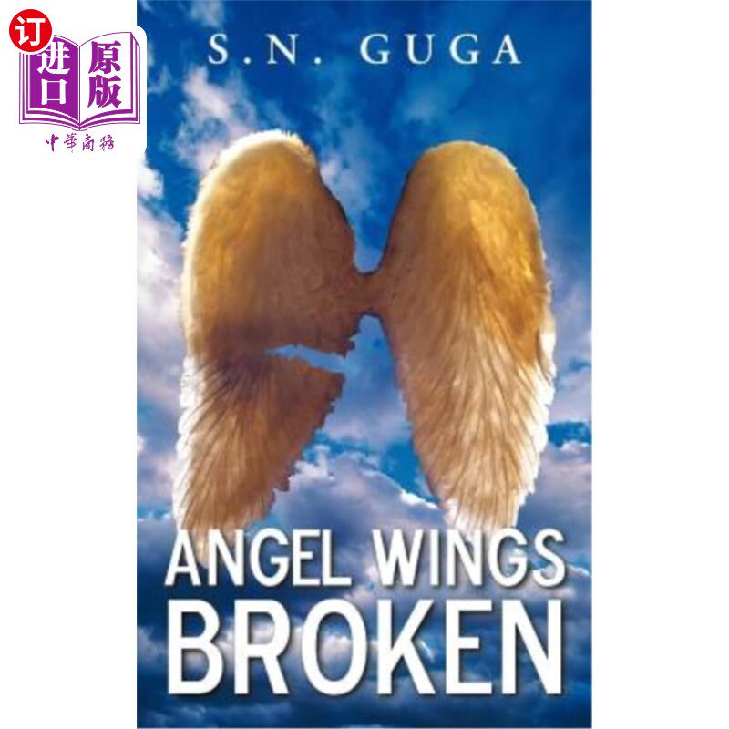 海外直订angel wings broken 天使的翅膀折断了