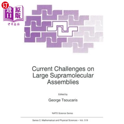 海外直订Current Challenges on Large Supramolecular Assemblies 当前在大型超分子组装上的挑战