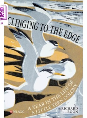 海外直订Clinging to the Edge: A Year in the Life of a Little Tern Colony