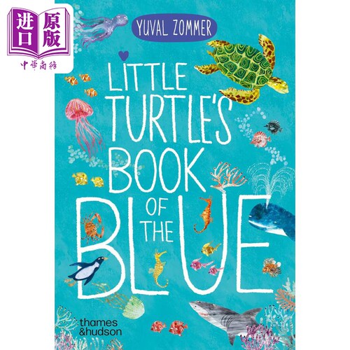 小乌龟的海洋书英文原版纸板书