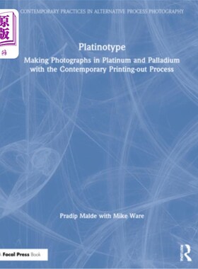 海外直订Platinotype: Making Photographs in Platinum and Palladium with the Contemporary  铂式:用当代的印刷工艺用铂