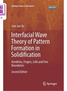 海外直订Interfacial Wave Theory of Pattern Formation in Solidification: Dendrites, Finge 凝固中图案形成的界面波理论