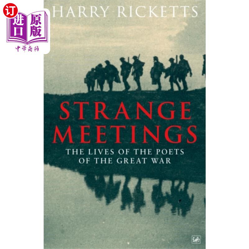 海外直订Strange Meetings 奇怪的会议
