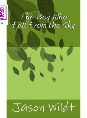 海外直订The Boy Who Fell From the Sky 从天上掉下来的男孩