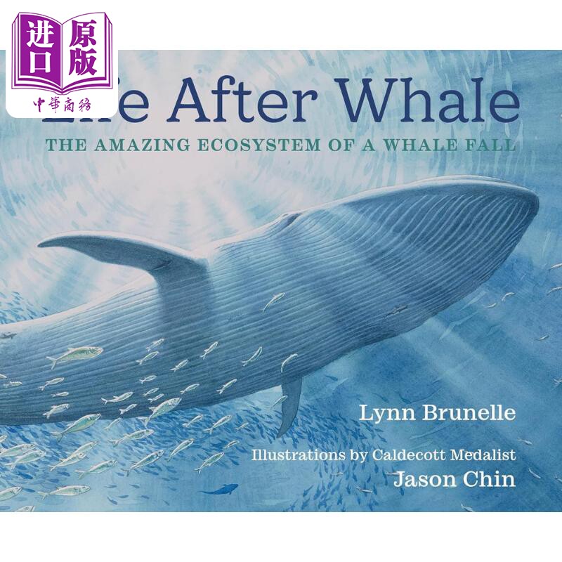 陈振盼 一鲸落万物生 Jason Chin Life After Whale 英文原版 儿童科普绘本 自然科学知识图画书 精装 进口图书【中商原版】