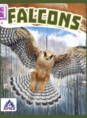 海外直订Birds of Prey: Falcons 猛禽:猎鹰