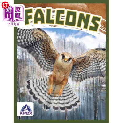 海外直订Birds of Prey: Falcons 猛禽:猎鹰