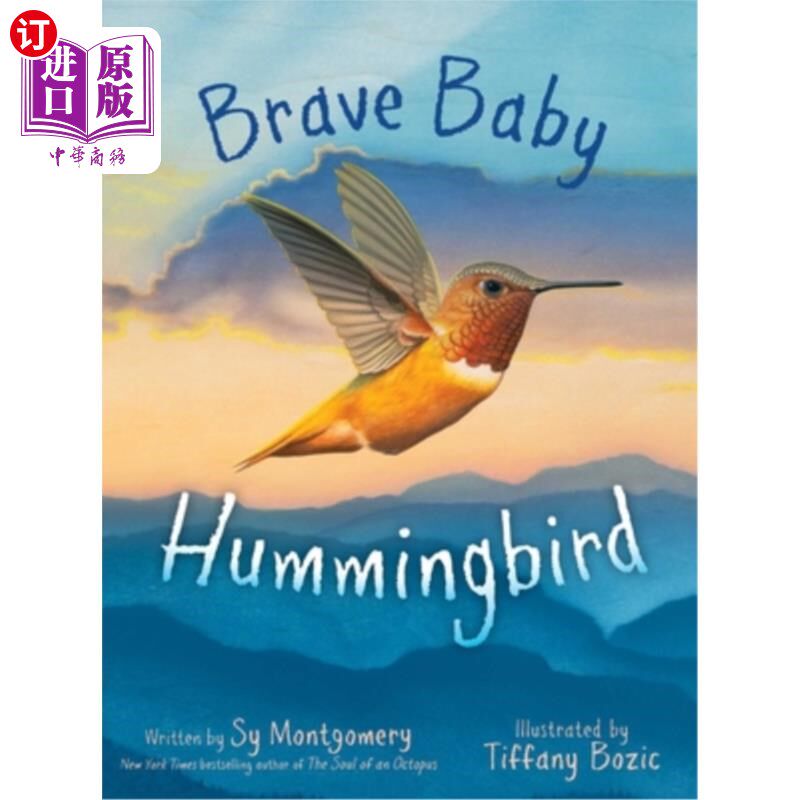 海外直订Brave Baby Hummingbird 勇敢的小蜂鸟