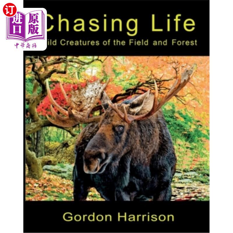 海外直订Chasing Life: Wild Creatures of the Field and Forest 追逐生命：田野和森林中的野生动物
