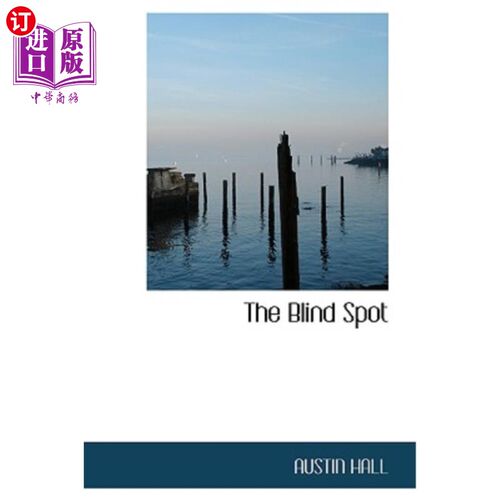 海外直订The Blind Spot Blind Spot