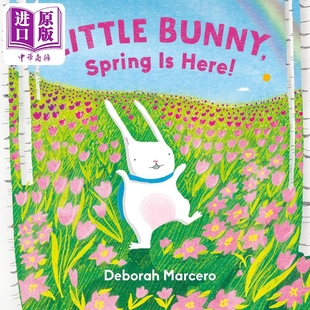 图画故事书 Little Spring 兔子 英文原版 节读物 进口童书 季 Bunny 亲子低幼绘本 纸板书 中商原版 Here 春天来了