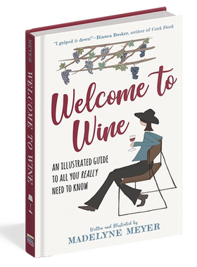 现货 欢迎来到红酒的世界 Welcome to Wine 英文原版 Madelyne Meyer【中商原版】